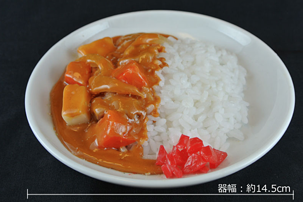 就像真的一樣⁉ 中等尺寸的食品模型製作體驗
