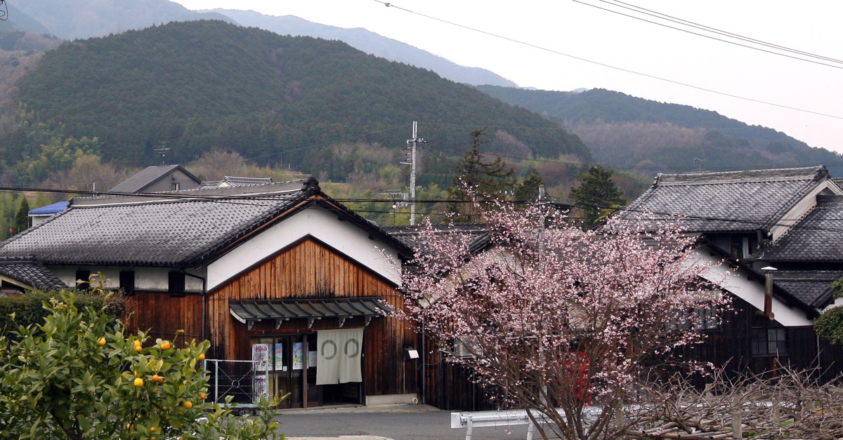 私人在地美食之旅 超人氣的 梅本豆腐店 和天然釀造的 片上醬油 完美行體驗
