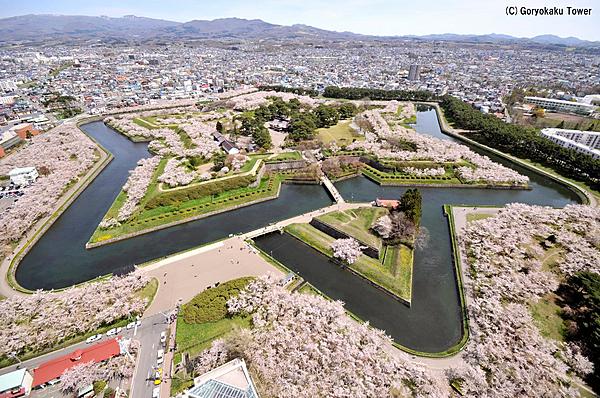 【旬花】Shunka / 毋需佔位,就能在賞櫻名勝五稜郭公園內,享受當季美景與日式便當之賞櫻方案 期間限定!4月下旬~5月中旬