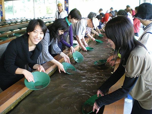 「SADO ISLAND ENJOY PASS」佐渡島周遊券