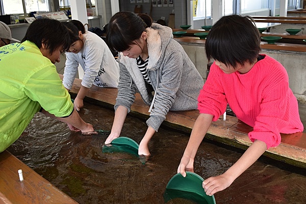 在以黃金為主題的「西三川Gold Park」進行採砂金體驗+製作飾品(附來回噴射水翼船船票)