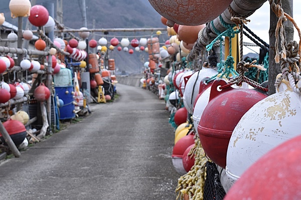 在外海府能量景點的岩谷口,與當地漁師一起大啖豪爽料理「根水雲丼」Sadonpo岩谷口(去程渡輪、回程水翼船或是去程水翼船、回程渡輪)
