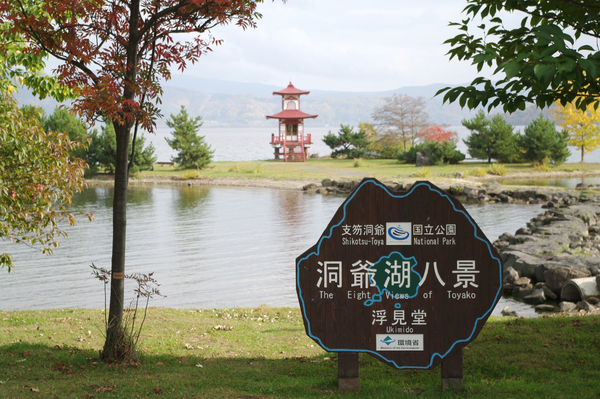 【洞爺湖、登別、白老】出租觀光的士暢遊各景點!7小時行程