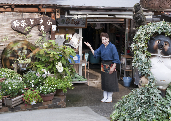 私人在地美食之旅 超人氣的 梅本豆腐店 和天然釀造的 片上醬油 完美行體驗 私人在地美食之旅 超人氣的 梅本豆腐店 和天然釀造的 片上醬油 完美行體驗